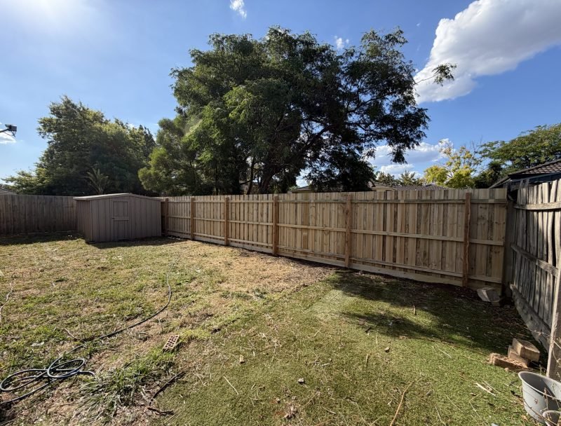 New wooden fence installation in a backyard with a garden shed.
